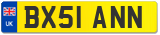 BX51 ANN