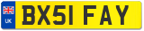 BX51 FAY