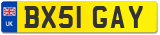 BX51 GAY