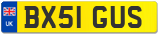 BX51 GUS