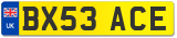 BX53 ACE