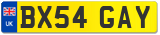 BX54 GAY