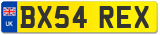 BX54 REX