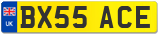 BX55 ACE