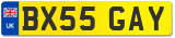 BX55 GAY