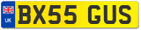 BX55 GUS