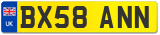 BX58 ANN