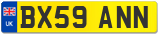 BX59 ANN