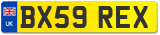 BX59 REX