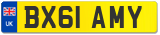 BX61 AMY