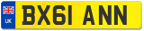 BX61 ANN