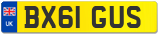 BX61 GUS