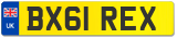 BX61 REX