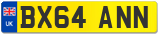 BX64 ANN