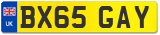 BX65 GAY