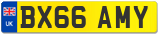 BX66 AMY