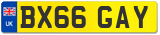 BX66 GAY