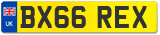 BX66 REX