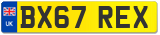 BX67 REX