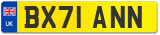 BX71 ANN