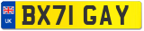 BX71 GAY