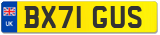 BX71 GUS