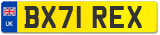 BX71 REX