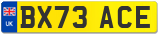 BX73 ACE