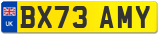 BX73 AMY