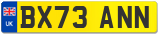 BX73 ANN