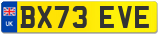 BX73 EVE