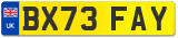 BX73 FAY