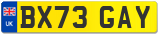 BX73 GAY