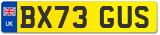 BX73 GUS