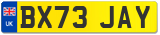 BX73 JAY