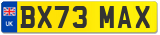 BX73 MAX