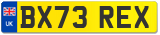 BX73 REX