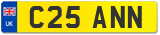 C25 ANN