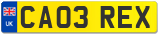 CA03 REX