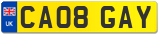 CA08 GAY