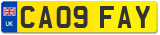 CA09 FAY