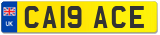 CA19 ACE