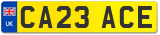 CA23 ACE