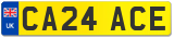 CA24 ACE