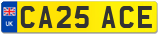 CA25 ACE