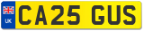 CA25 GUS