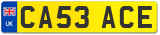 CA53 ACE