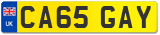 CA65 GAY