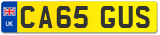 CA65 GUS