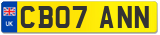 CB07 ANN